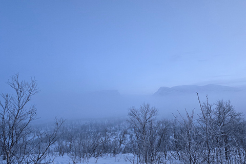 Arctic Morning - Snowshoe Experience (Private tour)