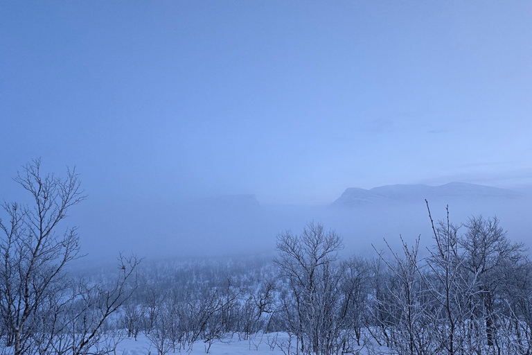 Arctic Morning - Snowshoe Experience (Private tour)