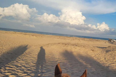 Djerba: Horseback Riding Adventure with Transfer