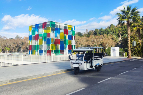 Málaga: Private Guided Tuk-Tuk Tour