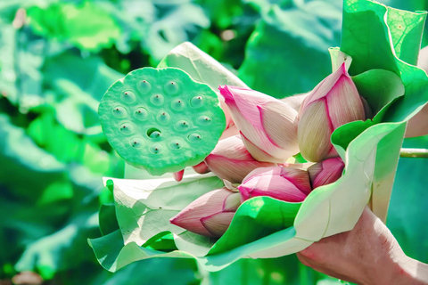 HANGZHOU: Farm Tour with Cooking Class and Flower Workshop