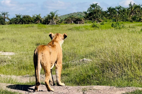 Nairobi: 2-Day Amboseli National Park Safari with Meals