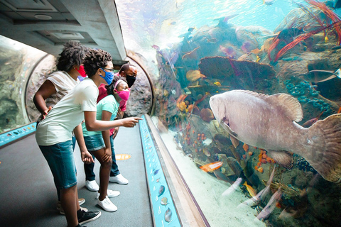 Acuario del Pacífico, LA: ticket sin colas en la taquilla