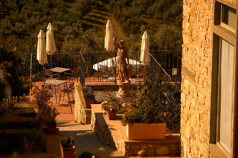 Florenz: Tolle Chianti-Wein- und Olivenöl-Tour mit MittagessenWein und Olivenöl – ein echtes Erlebnis