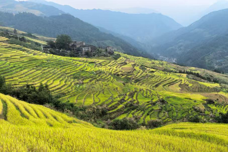 Guilin: In-Depth Longji Rice Terraces Day Trip with Lunch Group Tour