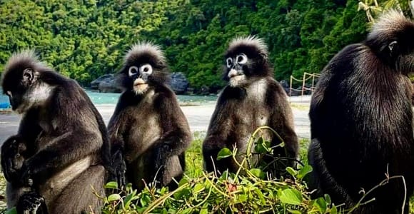 Koh Samui: Exclusive Overnight Tour to AngThong Marine Park