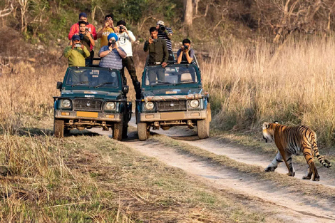 Delhi : Visite du parc national de Sariska le même jour avec safari tigre