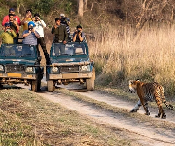 From Delhi: 4-Day Golden Triangle & Ranthambore Tiger Safari