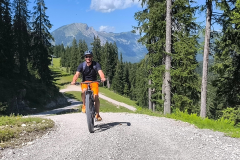 Salzkammergut : visite guidée en e-bike des alpages de Gosau et Hallstatt