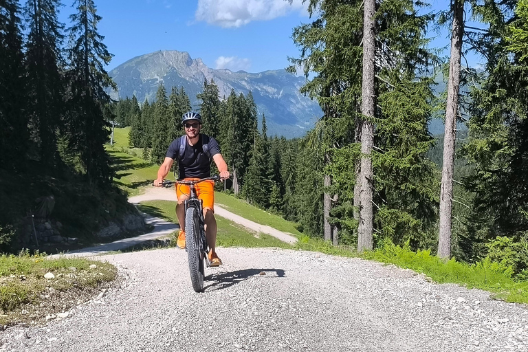 Salzkammergut: Guided e-bike tour to the alpine pastures in Gosau and Hallstatt