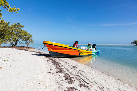 Holbox: Yalahau, Isla de la Pasión y Punta Mosquito tour en barcoVisita privada