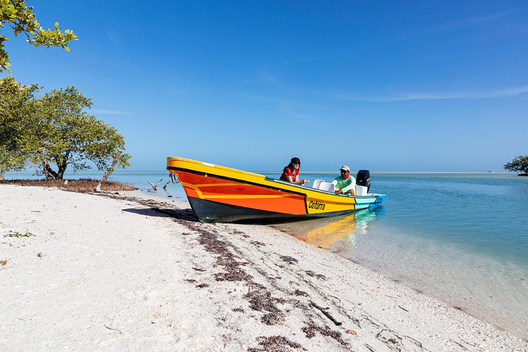 Holbox: Yalahau, Passion Island and Punta Mosquito Boat Tour Group Tour