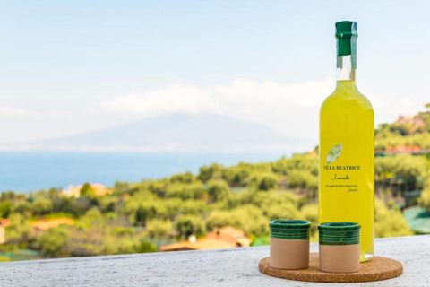 Lemon Grove Walk, Tastings, Aperitivo & Open Bar in Sorrento Lemon Tasting in Sorrento - Italian