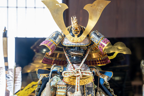 Kanazawa: Shirakawa-go privé-dagtour met lunch