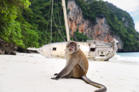 Phuket : Phi Phi & Maiton Islands Day Tour By Luxury Yacht Day Tour Without Transfer