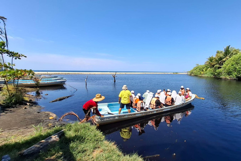 Safari Through the manfroves in Ventanilla, Oaxaca