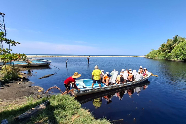 Safari Through the manfroves in Ventanilla, Oaxaca