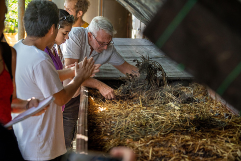 Guided visit to Ecofinca Nogales with organic food tasting