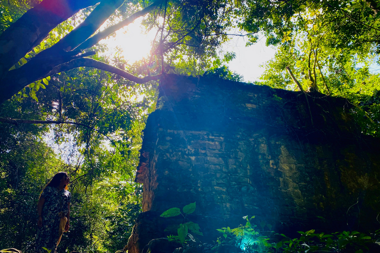 From Palenque: Lacandon Jungle 2 days, Yaxchilan, Bonampak and Trekking From Palenque: Lacandon Jungle 2 Days, Yaxchilan, Bonampak and Trekking