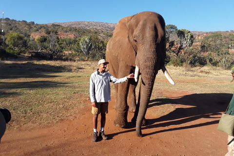 Het olifanten- en apenopvangcentrum.