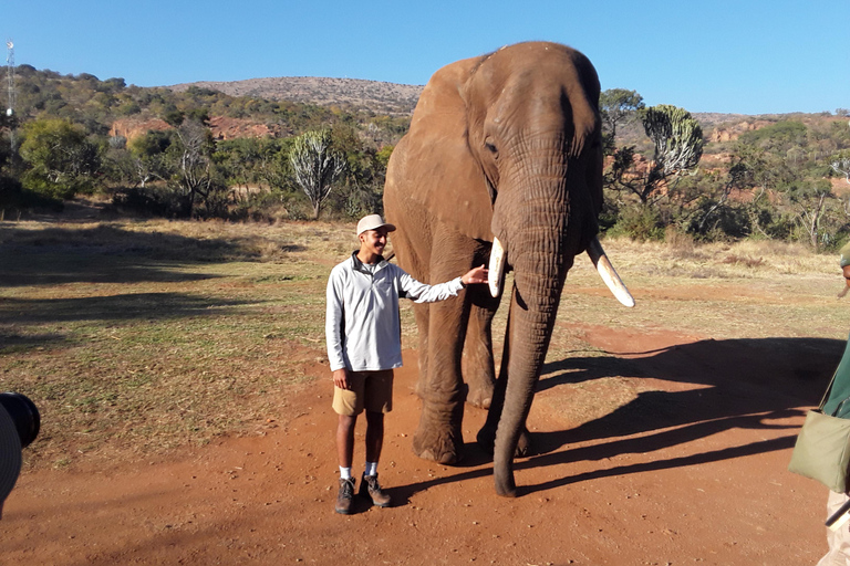 The Elephant and Monkey Sanctuary.