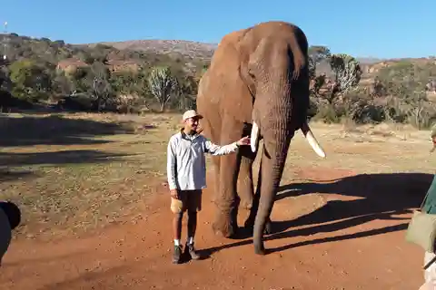 ゾウとサルのサンクチュアリ。