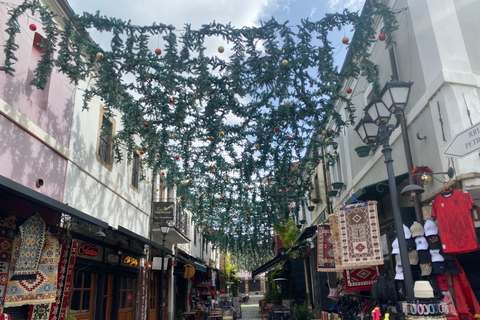 Desde Tirana/Durres: Korca, Voskopoja, Pogradec,Lin Excursión de un día