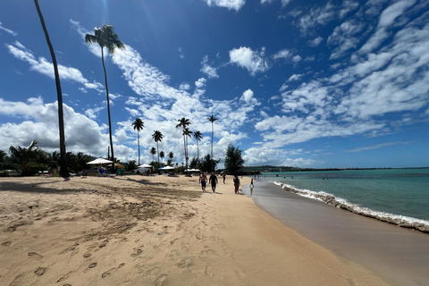 El Yunque Rainforest; Waterslides, Beach, Dine and Shop Tour El Yunque Rainforest Waterslides and Beach Tour