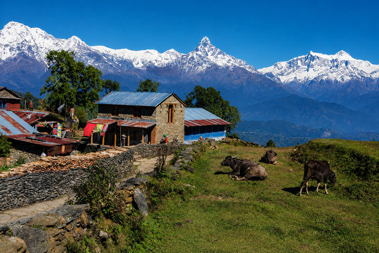 From Kathmandu: 5-Day Panchase Hill Eco Hike with Meals