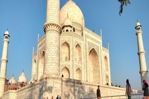 Ab Delhi: Sonnenaufgang Taj Mahal und Agra Fort Private Tour