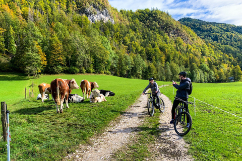 Bled: E-bike tocht langs het meer van Bled & Triglav Nationaal Park Picknick