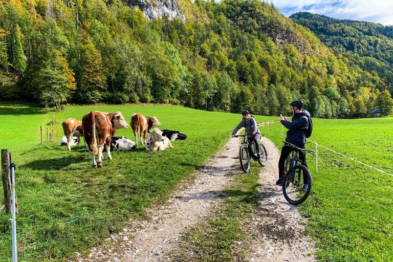 Bled: E-Bike Tour Lake Bled & Triglav National Park Picnic