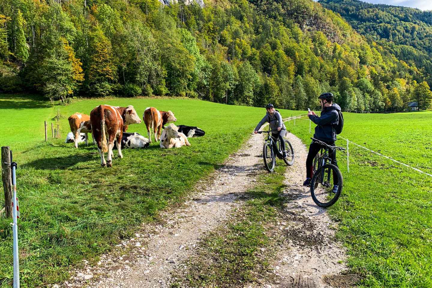 Bled: EBike Tour Lake Bled & Triglav National Park Private