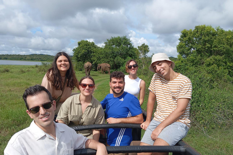 Experimenta a vida selvagem no Minneriya National Park Safari