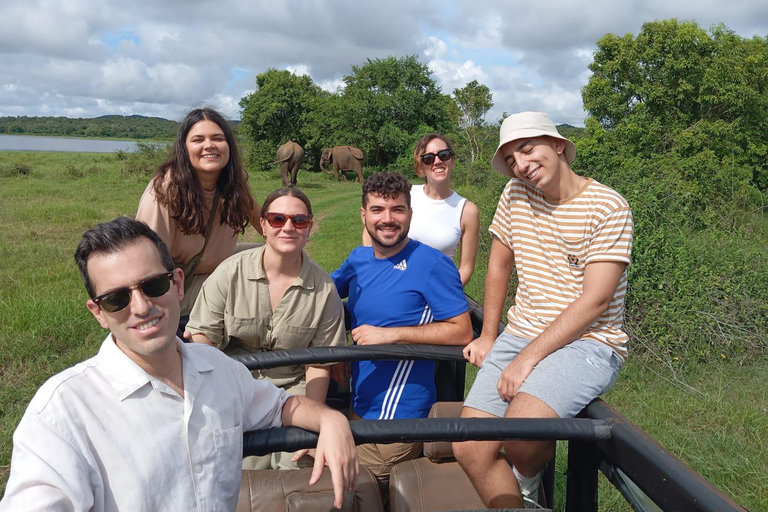 Experimenta a vida selvagem no Minneriya National Park Safari