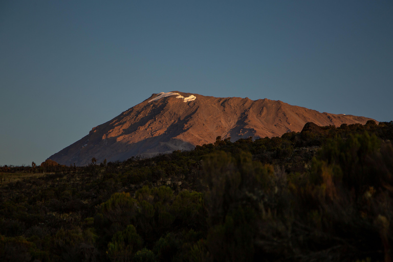 7-Days Rongai Route Kilimanjaro Climbing Group Joining Tour
