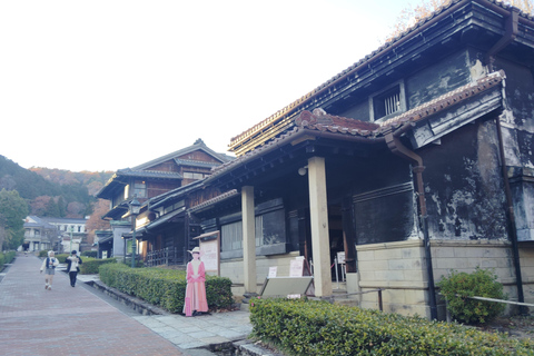 Aichi: Meiji Village & Japan’s Modernization Journey 5h Immersive option