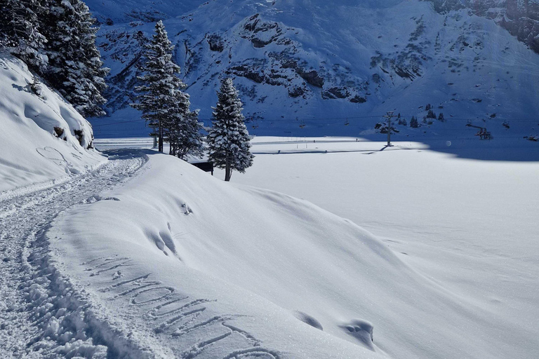 Lucerne: Private Snowshoe Tour