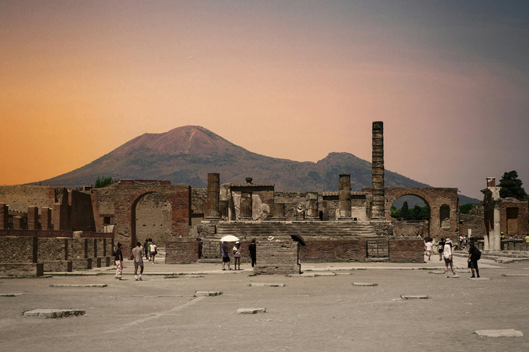 Naples: Pompeii and Mount Vesuvius Tour with Tickets