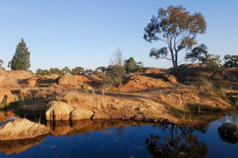 Safari de 5 dias para Tsavo Este/Oeste e Amboseli a partir de Mombaça