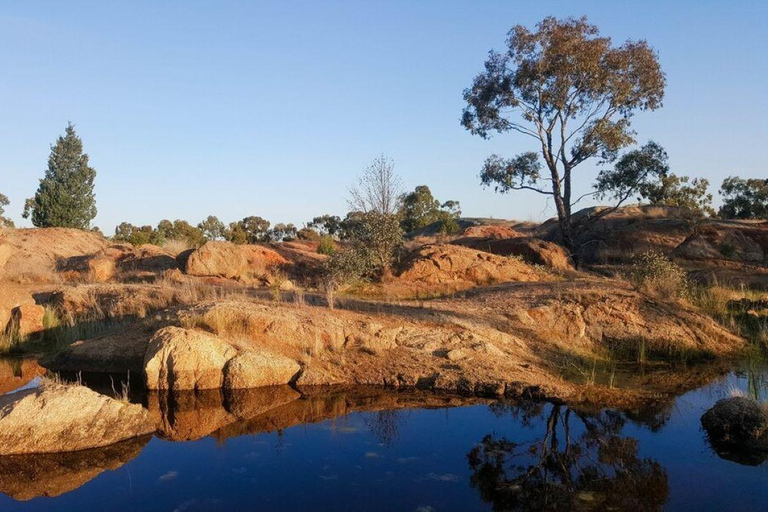 Safari di 5 giorni a Tsavo Est/Ovest e Amboseli da Mombasa