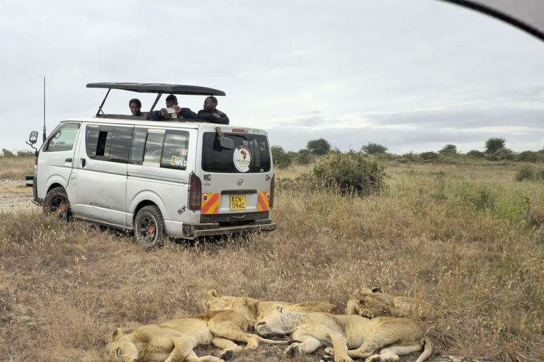 Nairobi Park Safari, Sheldrick's Orphanage & Giraffe Center Shared Drive in Open-Roof Van Game Drive