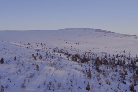 Lapland Pallas: Private Adventure Across All Terrain