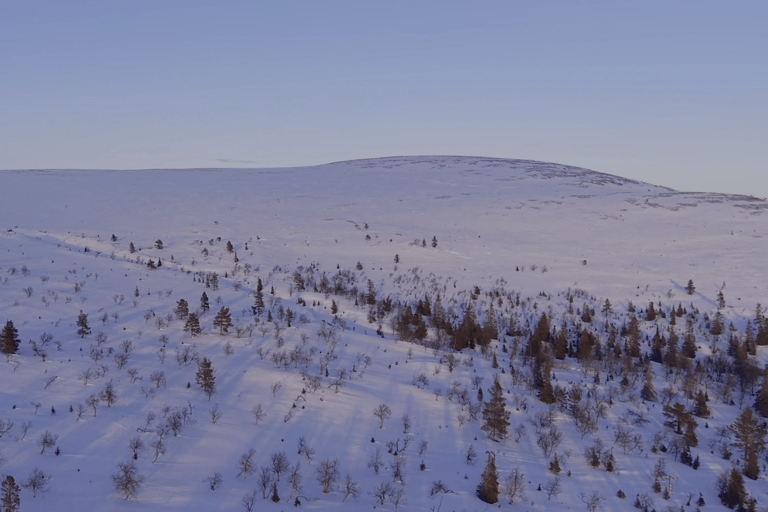 Lapland Pallas: Private Adventure Across All Terrain