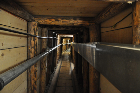 Sarajevo: History and Wars Walking Tour with Tunnel of Hope
