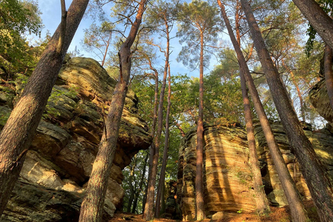 Mullerthal & Wolf's Gorge: Rock Walk with Clifftop Champagne