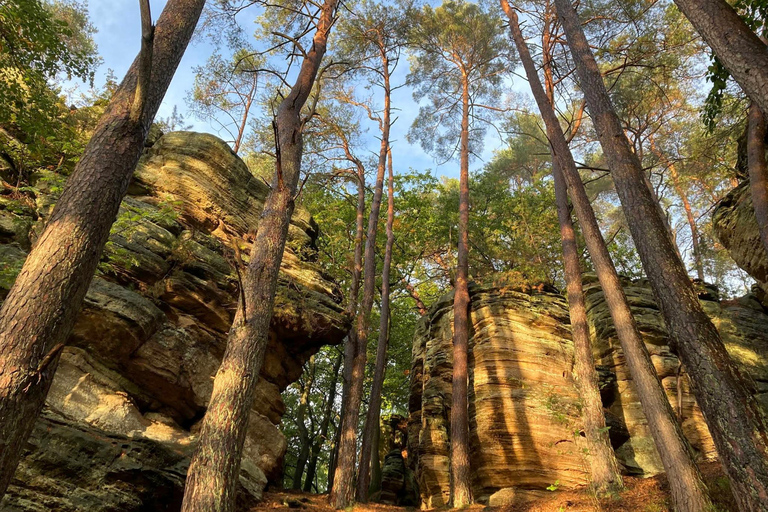 Mullerthal & Wolf's Gorge: Rock Walk with Clifftop Champagne