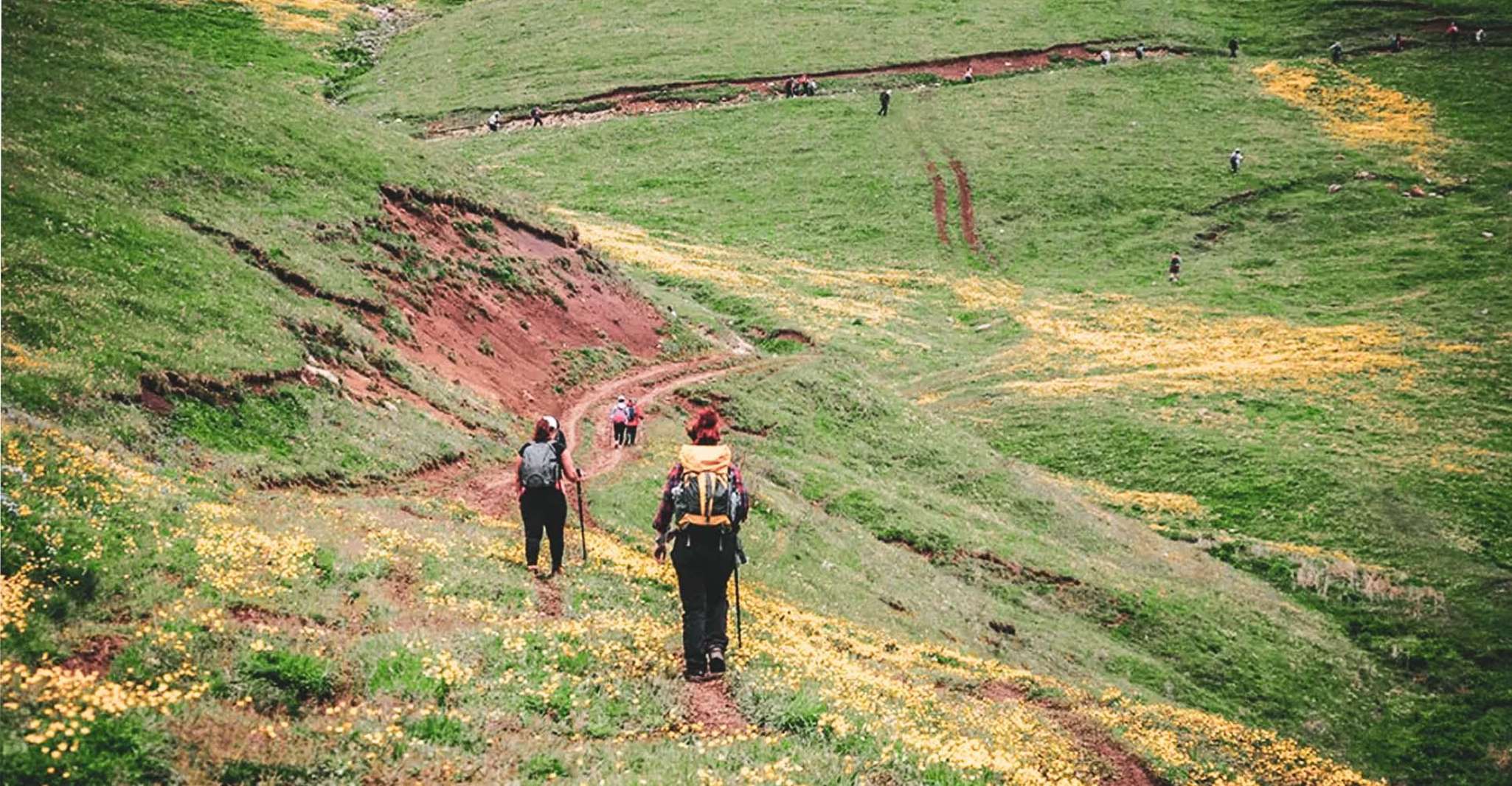 Hiking & Climbing to Mount Dimats, Tavush Region - Housity