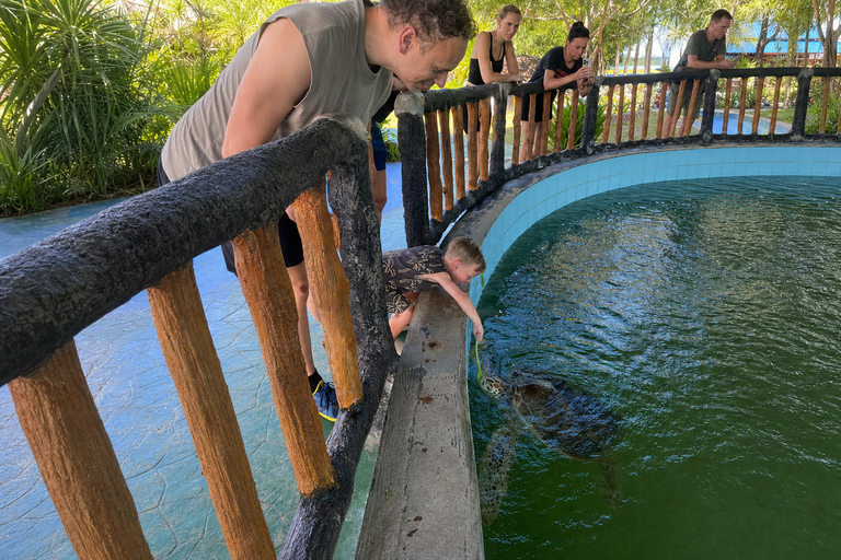 Khao Lak: ATV, Rafting, Turtles & Waterfall Day + Lunch