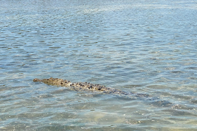 Flamingo Classic: Rio Lagartos and Las Coloradas